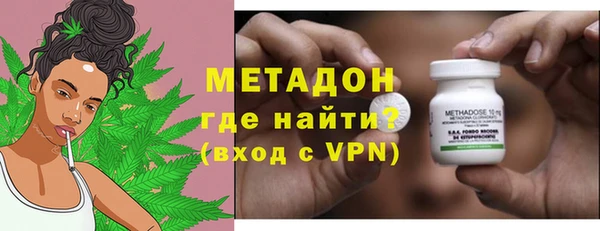 индика Богданович